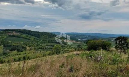 Linda área rural, de aproximadamente 5 hectares  no 8 da graciema
