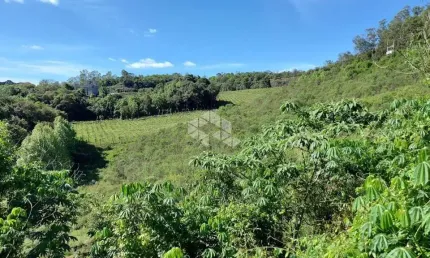Chácara / sítio vale dos vinhedos monte belo do sul