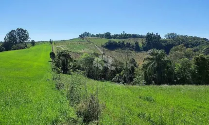Chácara / sítio à venda na São Jorge, 1, Zona Rural, Garibaldi