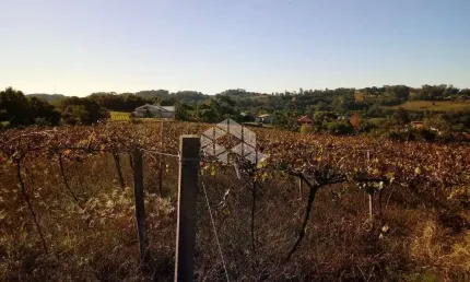 Chácara / sítio com 1 quarto à venda na Br-470  Km 208, 1, São Valentin, Bento Gonçalves