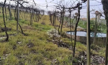 Chácara / sítio à venda na Da Uva E Do Vinho, 15, Vale dos Vinhedos (Distrito), Bento Gonçalves