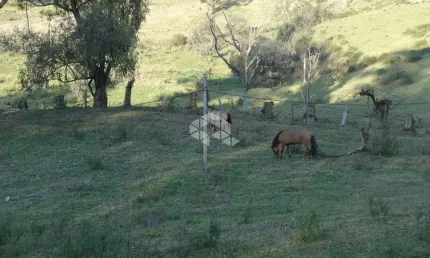 Chácara/ sítio área rural de 100.000m²,  carlos barbosa