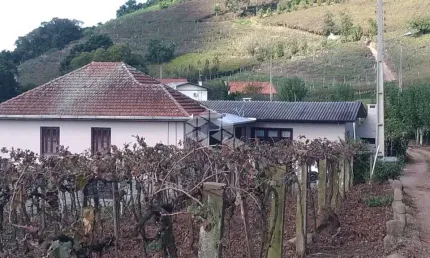 Chácara / sítio com 2 quartos à venda na Vicente Tomasi, 3, Zona Rural, Bento Gonçalves