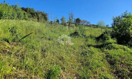Sítio na rs 444 linha 100 da leopoldina monte belo do sul