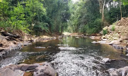 Chácara / sítio à venda na Rs444, 31, Vale dos Vinhedos (Distrito), Bento Gonçalves