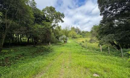 Chácara / sítio à venda na Rodovia Rst 470, 12, Zona Rural, Carlos Barbosa