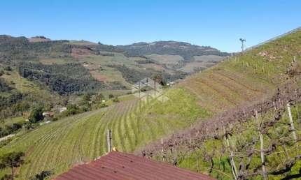 Terreno à venda na Linha Fernandes Lima, 31, Zona Rural, Monte Belo do Sul