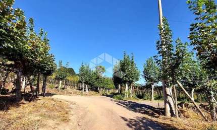 Chácara / sítio à venda na Marcílio Dias, 30, Centro, Garibaldi