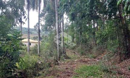 Chácara / sítio à venda na Rs 431, 10, Faria Lemos (Distrito), Bento Gonçalves