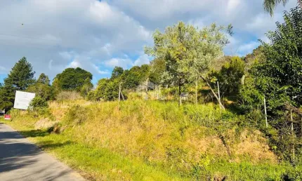 Terreno à venda na Vr 855 Linha Palmeiro, 121, São Pedro, Bento Gonçalves