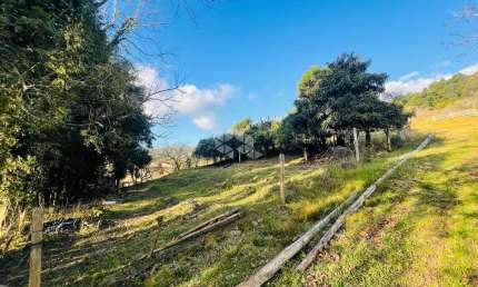 Terreno à venda na Vrs 855 Linha Palmeiro, 119, São Pedro, Bento Gonçalves