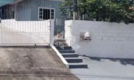 Casa com 2 quartos/dormitórios no bairro Ipiranga, em São José- SC