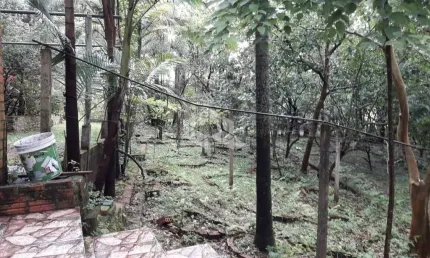 Chácara / sítio com 2 quartos à venda na Vila Porteira do Ipiranga, 250, Águas Mortas, Gravataí
