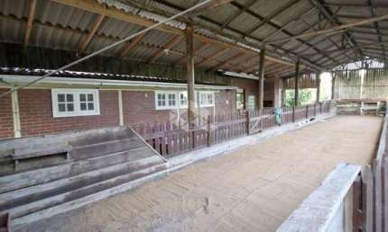 Chácara / sítio com 3 quartos à venda na Estrada São Caetano, 6700, Lami, Porto Alegre