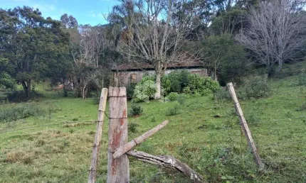 Chácara à venda com 26 hectares em lajeadinho são pedro do sul