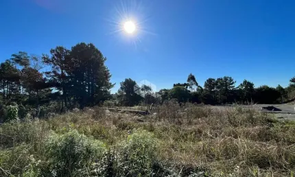 Área de investimento na Principal Avenida de Gramado e Canela