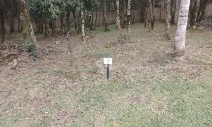 Terreno 420m², localizado condomínio vila mariana, a 5 minutos do centro