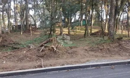 Terreno 427,67m²,  localizado no bairro são luis , canela