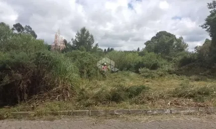 Terreno à venda na Giselda Pinto Dos Santos, 6, Cipó, São Francisco de Paula