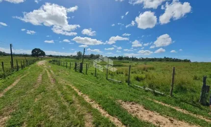 Fazenda 251 hectares plantio diversicado e dupla aptdão Umuarama RJ