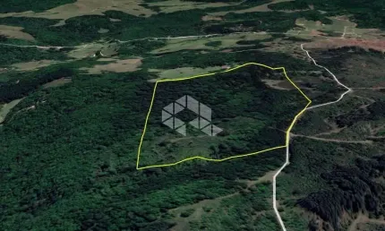 Chácara / sítio com 1 quarto à venda na Da Carapina, 1253, Zona Rural, São Francisco de Paula