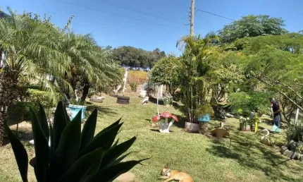 Chácara / sítio com 2 quartos à venda na Rs 040, 12501, Águas Claras, Viamão