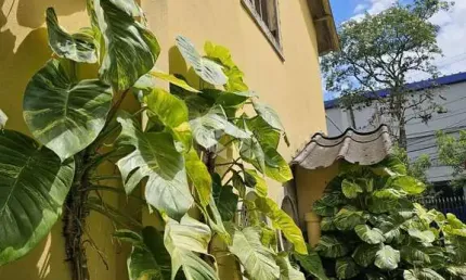 Casa com 3 quartos à venda na Rua Teodoro Horst, 156, Tucuruvi, São Paulo