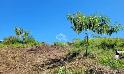 Ótimo terreno de 903,60m2 no Bairro São Luiz em Caxias Do Sul