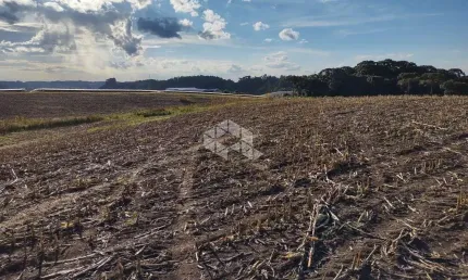 Terreno à venda na Rod Vicinal Mato Perso, 18, Forqueta, Caxias do Sul