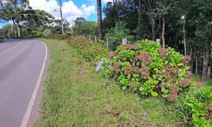Chácara / sítio à venda na Área Rural, 0001, Zona Rural, Farroupilha