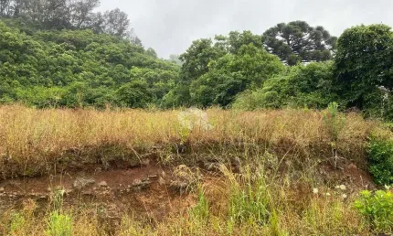 Terreno à venda na Área Rural, 02, Zona Rural, Farroupilha