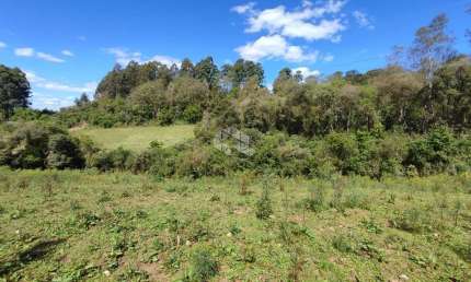 Terreno plano, com riacho, espera pra luz e espera pra água