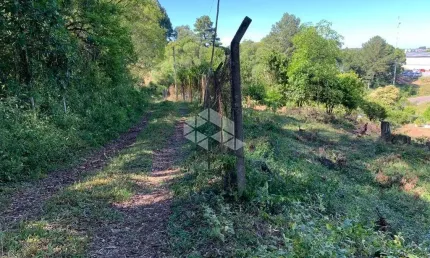 Chácara / sítio com 1 quarto à venda na 1, 1, São Miguel, Garibaldi