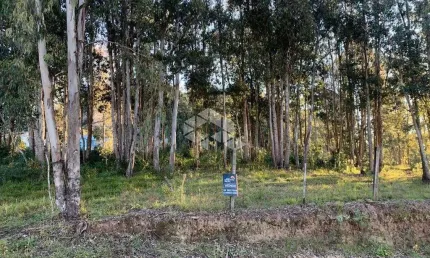 Terreno à venda na Antônio Grigoletto, 1, São Roque, Garibaldi