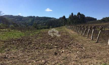 Chácara / sítio com 1 quarto à venda na Linha Figueira De Melo, 2, Centro, Coronel Pilar