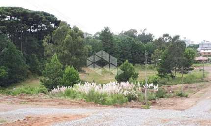 Terreno à venda na Arcangelo Chiele, 1004, São Luiz, Farroupilha