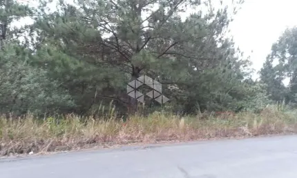 Terreno à venda na Br 470 Km 224, 1, Centro, Garibaldi