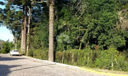 Terreno à venda na Alino Lorenzini, 130, Peterlongo, Garibaldi