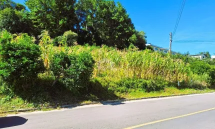 Terreno à venda na Cristóvão Colombo, 100, Santa Terezinha, Garibaldi