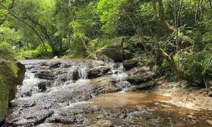 Chácara / sítio à venda na Principal, S/n, 53, São Luiz de Castro, Boa Vista do Sul