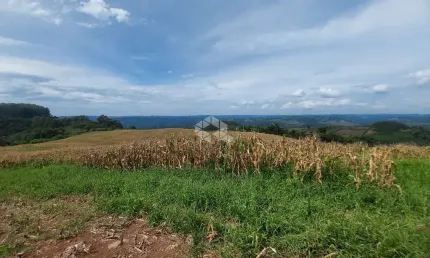 Chácara / sítio à venda na Vinte E Cinco Julho, S/n, 3, Centro, Coronel Pilar