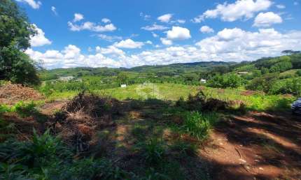 Chácara / sítio com 1 quarto à venda na Linha Müller, 1, Zona Rural, Carlos Barbosa