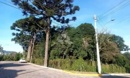 Terreno à venda na Alino Lorenzini, 129, Peterlongo, Garibaldi