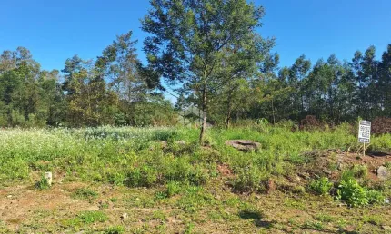 Terreno plano de 360 m² bairro Alfandega na cidade de Garibaldi