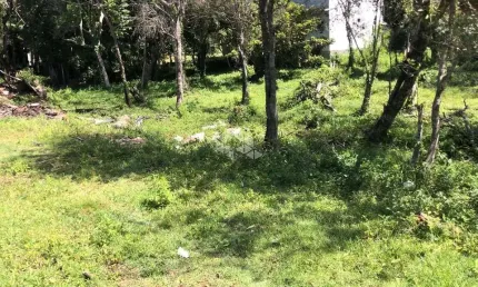 Terreno á venda em garopaba com 1.800 m2, na encantada.
