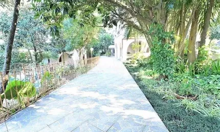 Apartamento Residencial À Venda, Cristal, Porto Alegre
