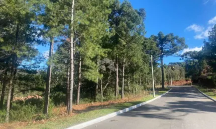 Terreno à venda na Waldi Kich, 2, Dutra, Gramado