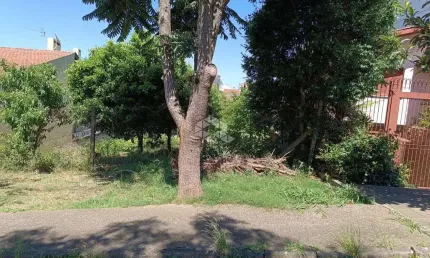 Terreno à venda na Rua Juvenil Benetti, 79, Santa Catarina, Caxias do Sul
