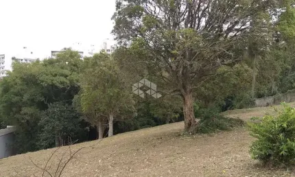 Terreno à venda na Servidão do Palmeiras, 1, Itacorubi, Florianópolis