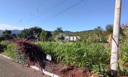 Terreno à venda na 15 De Novembro, 96, Boa Vista, Lindolfo Collor